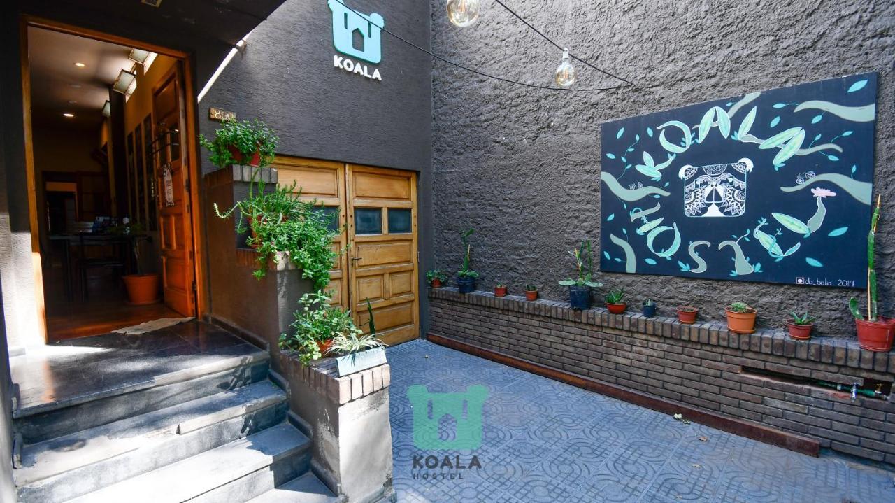 Koala Hostel Mendoza Ngoại thất bức ảnh