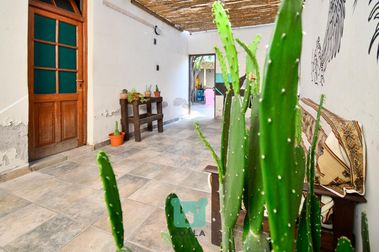 Koala Hostel Mendoza Ngoại thất bức ảnh